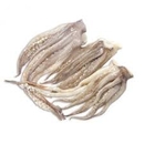 CIUFFI DI TOTANO ATLANTICO DECONGELATI<br><br>